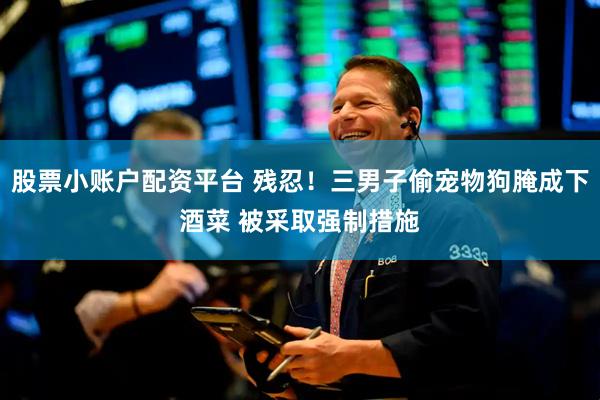 股票小账户配资平台 残忍！三男子偷宠物狗腌成下酒菜 被采取强制措施