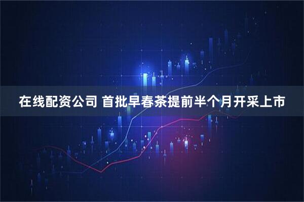 在线配资公司 首批早春茶提前半个月开采上市