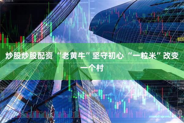 炒股炒股配资 “老黄牛”坚守初心 “一粒米”改变一个村