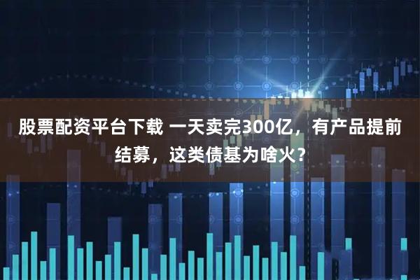 股票配资平台下载 一天卖完300亿，有产品提前结募，这类债基为啥火？