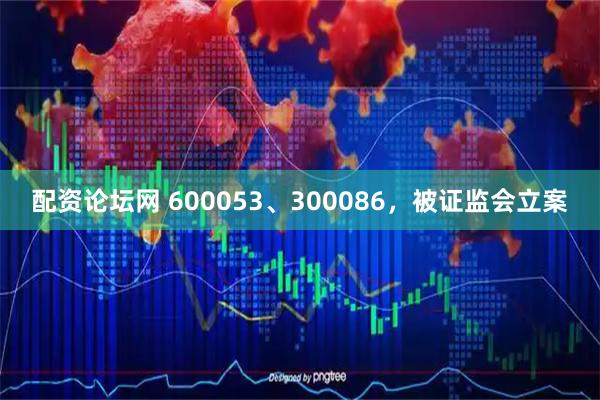 配资论坛网 600053、300086,被证监会立案
